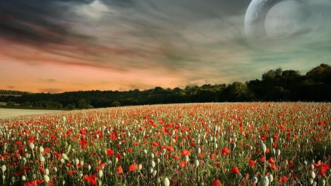 在广州，找个对象是不是真的很难？